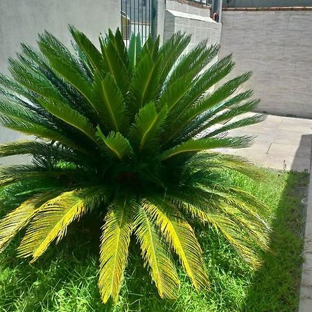 Casa Agradavel Em Camboriu Com Estacionamento No Patio Villa Bagian luar foto