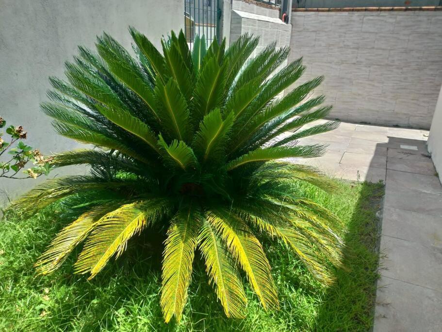 Casa Agradavel Em Camboriu Com Estacionamento No Patio Villa Bagian luar foto
